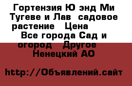 Гортензия Ю энд Ми Тугеве и Лав, садовое растение › Цена ­ 550 - Все города Сад и огород » Другое   . Ненецкий АО